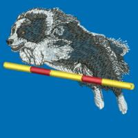 Border Collie jumping - College Hoodie Design