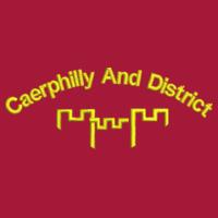 Caerphilly - Original cuffed beanie Design