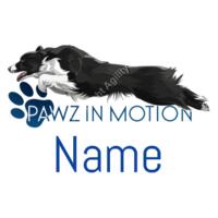 Pawz in motion  - AWDis Ladies Cool Smooth T-Shirt Design