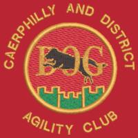 Caerphilly - HeavyBlend™ adult hooded sweatshirt Design