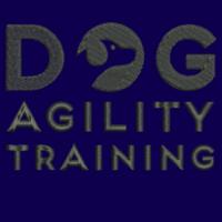 Dog Agility Training - Street Hoodie Design