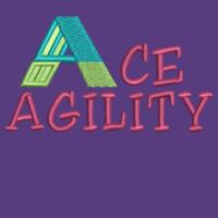 Ace Agility - kids College Hoodie Design
