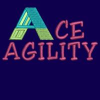 Ace Agility - Street Hoodie Design