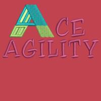 Ace Agility - HeavyBlend™ adult hooded sweatshirt Design