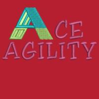 Ace Agility - AWDis Sweatshirt Design