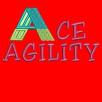 Ace Agility - Result Core TX performance ladies Hooded Softshell Jacket Design