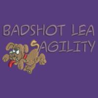 Badshot Lea Agility - College Hoodie Design