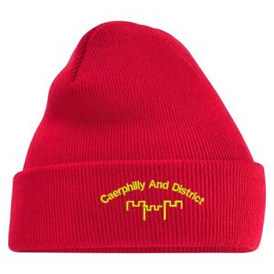 Caerphilly - Original cuffed beanie Thumbnail