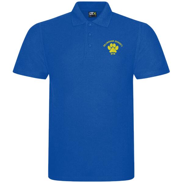 Gillingham (DORSET) DTS - Pro polo Thumbnail