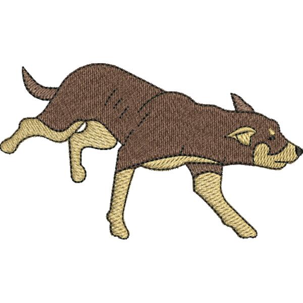 129678U2 Kelpiebrown  Thumbnail