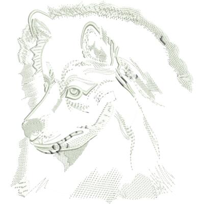 ano711large Thumbnail