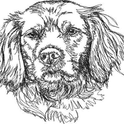 Brittany Spaniels 1 Thumbnail