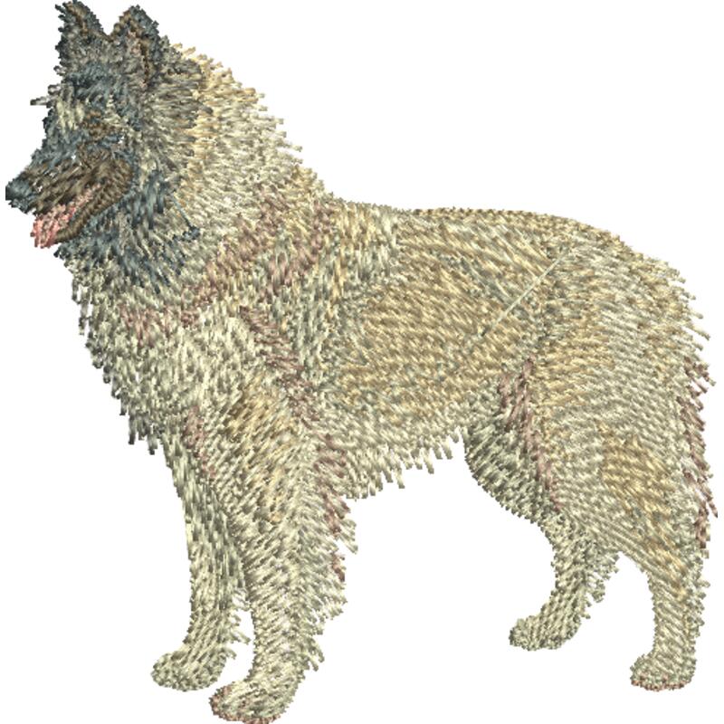 351966 COLOURS Thumbnail