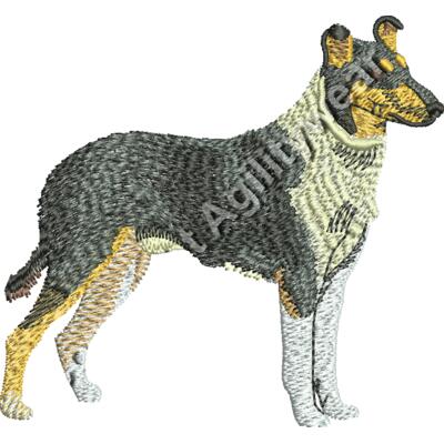 Smooth Coat Collie48885 Thumbnail