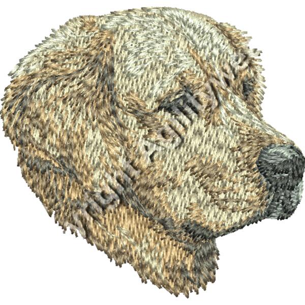 Dm672   Golden Retriever 22 Thumbnail