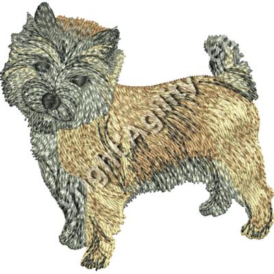 CairnTerrier48346 Thumbnail