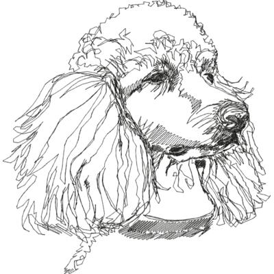 Poodle1 Thumbnail