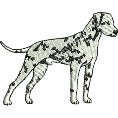 Dalmatian Thumbnail