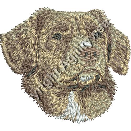 Dn511 2 31 Thumbnail