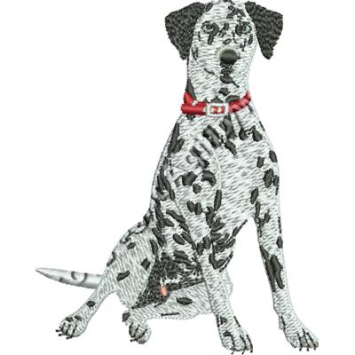 Dalmation48360  Thumbnail