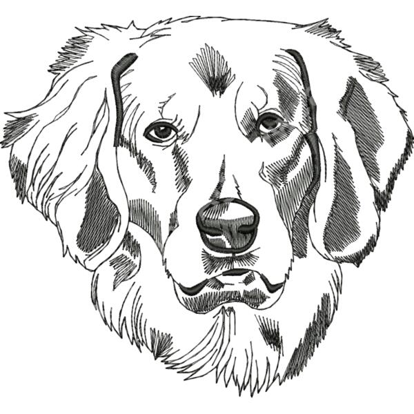 AN0182large Thumbnail