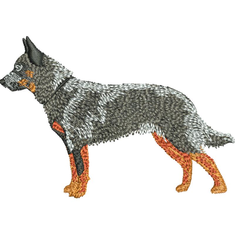 Australian Cattle Dog 48322 Thumbnail
