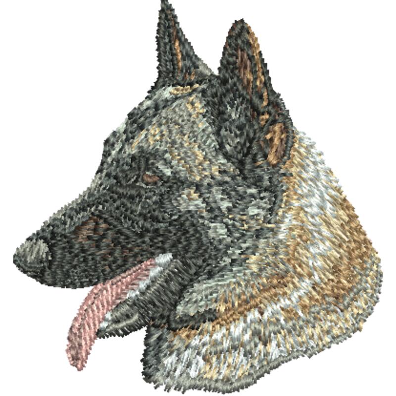 Dn338 2 16 Thumbnail