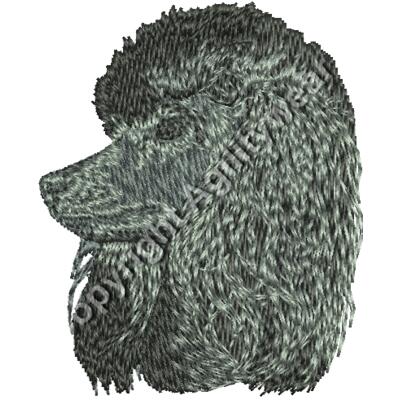 Dm407black Thumbnail