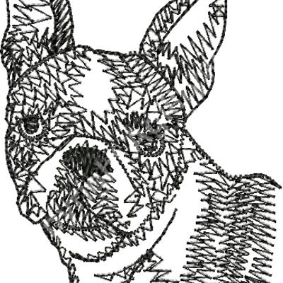 Wo274BOSTON Thumbnail