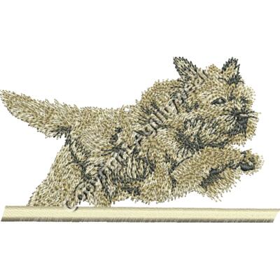 113667U2 Bterrier Thumbnail