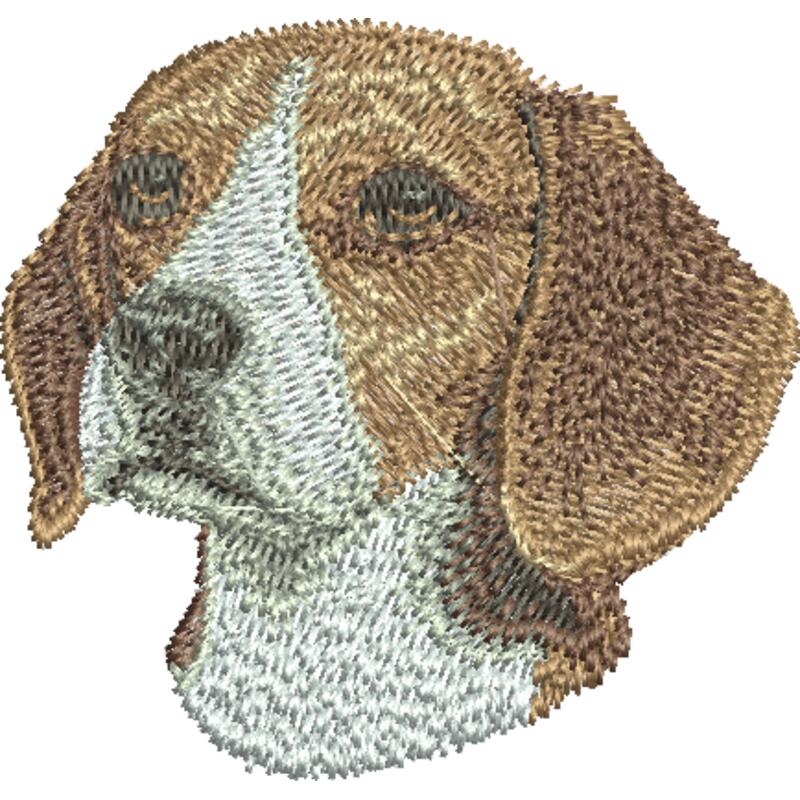 Beagle D31 Thumbnail