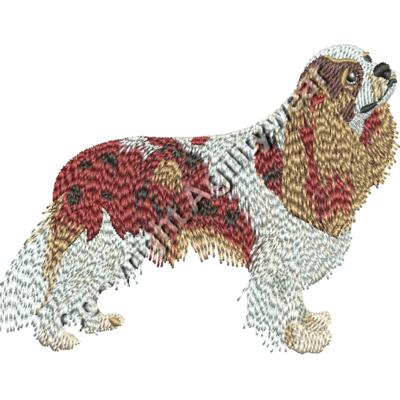 cavalier king charles48347 Thumbnail