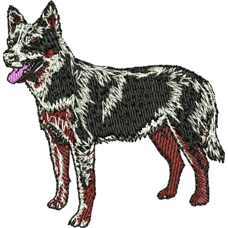 Aust Cattle dog Thumbnail