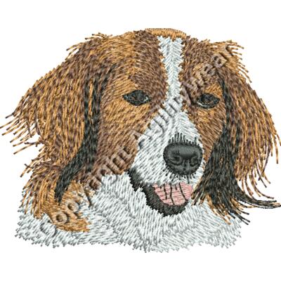 KOOIKERfinal2 Thumbnail