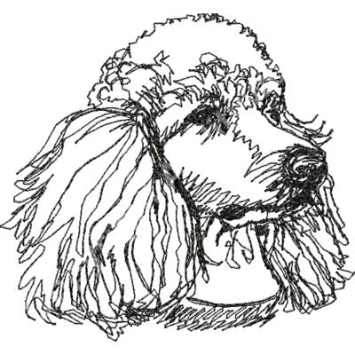 16440tafront Thumbnail