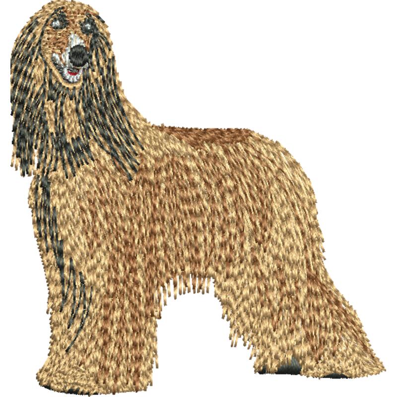 Afhgan 48316 Thumbnail