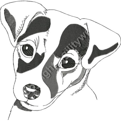 AN0144largetat Thumbnail