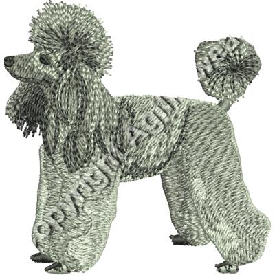 Poodle48862 Thumbnail