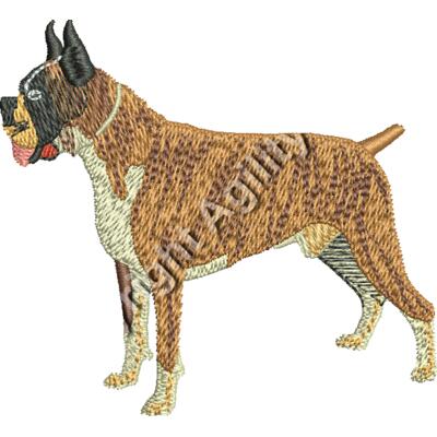 boxer48341 Thumbnail