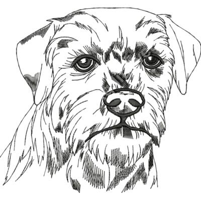 Borderterrierlarge Thumbnail