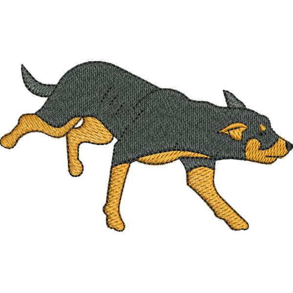 129678U2 Kelpie  Thumbnail