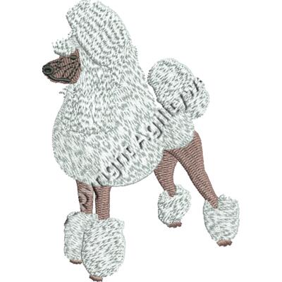 Poodle248861 Thumbnail