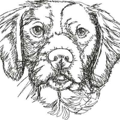 Brittany Spaniels2 Thumbnail