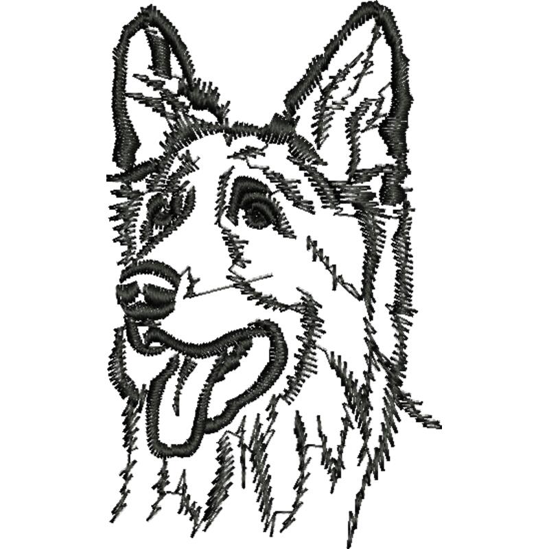 shilohshep Front Thumbnail