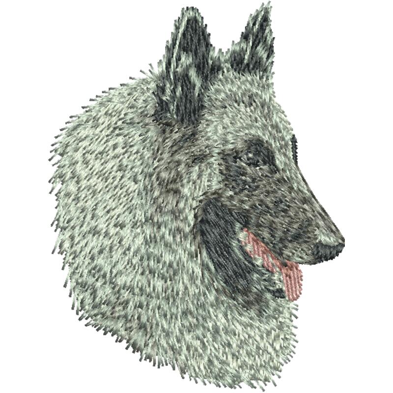 Dn478 3 08 Thumbnail