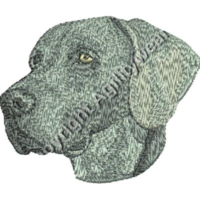 Dm339 2 16 Thumbnail