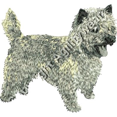 CairnTerrier body85 Thumbnail