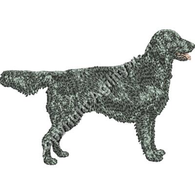 flatcoat1 Thumbnail