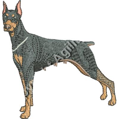 Doberman Pinscher48363 Thumbnail