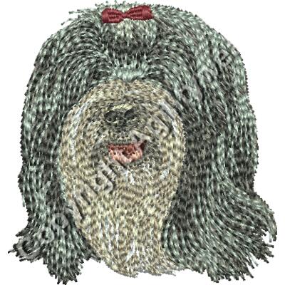 Dv364 2 16 Thumbnail